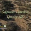 Saguaro Garden ATV Trail